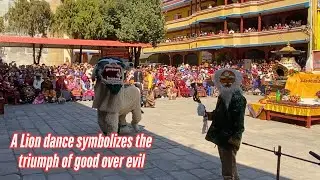Performing Lion Dance | Symbolizes the triumph of good over evil | Explore with Gelu |