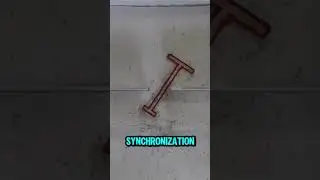 Ants Teamwork, Moving the Impossible