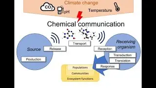 What is Chemical Ecology - Microlearning (3 Minutes)