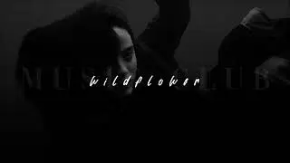Billie Eilish, WILDFLOWER | sped up |