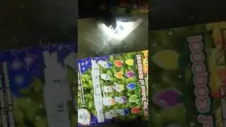 Polish prince trimming the trees 10 dollar PA scratch game