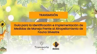 Guía Identificación e Implementación de Medidas de Manejo Frente al Atropellamiento de Fauna