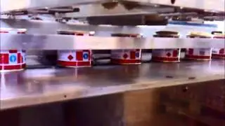 ENVASANDO COLA DE SAPATEIRO
