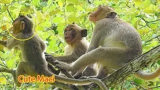 Pretty Fun! Cute Baby Maci Climbing Up The Tree So Fast & Has A Lots Of Funny Playing