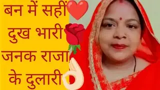 💐🌿🍁बन में सहीं दुख भारी🍁 🌿🍁जनक राजा की दुलारी 🦚🌲🌿(बहुत ही सुंदर लाचारी गीत)