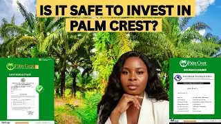 PALM CREST INSURANCE AND FULL REVELATION 