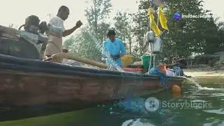 incre&iacute;ble abundancia de peces en el Caribe !