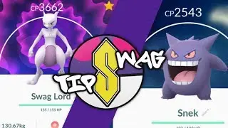 DPS vs EPS | Mewtwo and Gengars Best Fast Moves in Pokemon GO