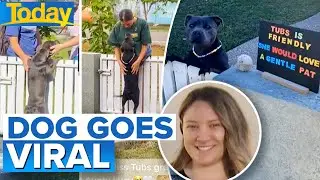 Adorable dog wins millions of hearts with friendly sign | Today Show Australia