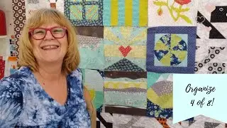 Organize 4 of 8 - Pat Sloan Sept 15 Quilt Topic 2020