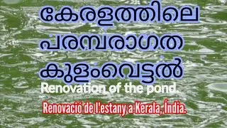 TRADITIONAL WAY OF CLEANING THE OLD POND|MANERA TRADICIONAL DE RENOVAR EL ESTANQUE EN KERALA, INDIA.