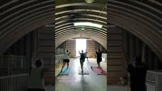 A little glimpse of a goat yoga class! #goatyoga #udderlyridiculous #experience #notyouraverageclass