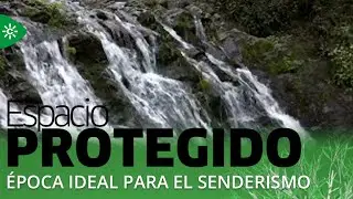 Espacio Protegido | Disfrutamos del rumor del agua en Galaroza