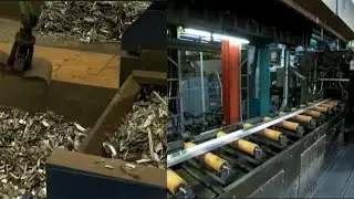 From Trash to Treasure: The AMAZING Aluminum Recycling Process