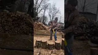 6lb Estwing spillting maul 🪓 vs. Knotty green piece of maple 🍁🪵.
