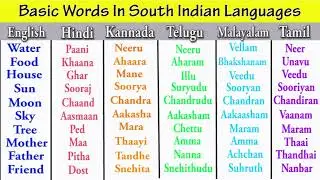 Basic Words In South Indian Languages | Language Learning #shortsfeed #shorts #languageeducation