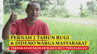 PERNAH 2 TAHUN RUGI DAN DIDEMO WARGA, TERNAK AYAM BROILER HARUS IKUT PERUSAHAAN?