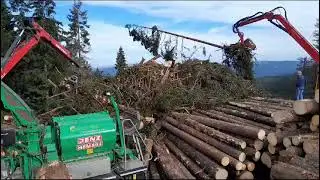 ALMEA - &scaron;těpkov&aacute;n&iacute; na Velk&eacute;m Javoru