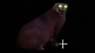 FLOPPA IN MINECRAFT