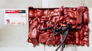 Hilti CP 620 Yangın Durdurucu K&ouml;p&uuml;k
