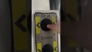Class 317 door showcase 2 #train