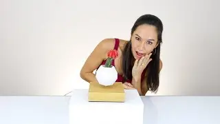 Lyfe Unboxing