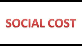 SOCIAL COST ( Hindi )