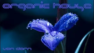 ORGANIC SOUNDS / VOLUME 1 / ORGANIC HOUSE / 2021 / LIVESTREAM / MUSIC / TOP HITS / MIX