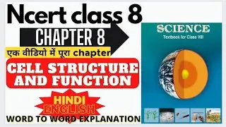 Ncert Science Class 8 Chapter 8 | Cell Structure and Function Class 8 Full Chapter Explanation hindi