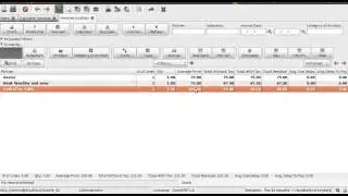 Sale Analysis and Invoices Analysis report issue 6.0