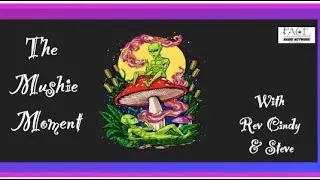 Welcome to Mushie Moment for December 23, 2025
