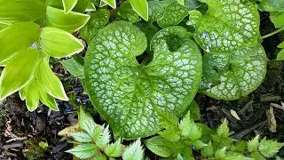 Spring Update, 