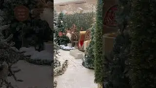 Christmas Cheer Our Saviour Is Born Luke 2.11