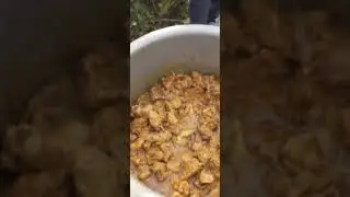 Chicken Curry 🍛 #picnic #2023