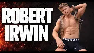 The Curious Life of Robert Irwin