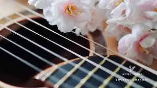 Chill Guitar Music for Spring | Seiji Igusa - New EP 