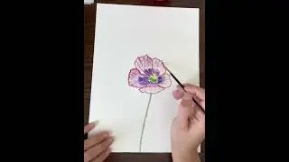 Painting Poppies