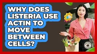 Why Does Listeria Use Actin To Move Between Cells? - Food Safety Kitchen