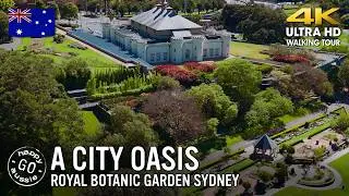 ROYAL BOTANIC GARDEN SYDNEY | 4K ASMR WALKING TOUR