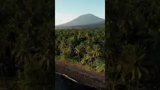 Ein wundersch&ouml;ner Morgen am Strand! ⁠Video: @burakevgeniy (Instagram)