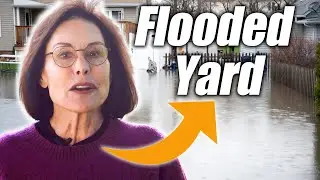 From Flooded Frustration to Relief: Susan's Testimonial with Ware Landscaping
