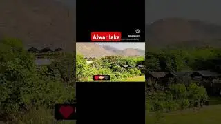 सिली सेड झील अलवर राजस्थान #alwar #music #lake #music #love #beautiful #omg #shyam #song