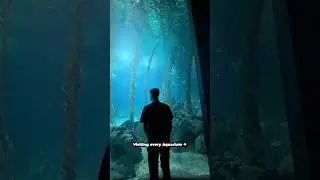 Visiting every aquarium in the world! 🐠 #portugal
