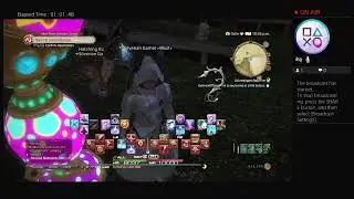 I am playing Final Fantasy XIV online (Seasonal Event Hatching-tide 2022)