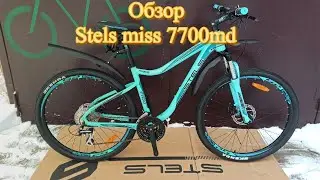 Обзор Stels miss 7700md