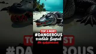 Top 3 Most Dangerous Islands | Fine Facts Stories (தமிழ்)