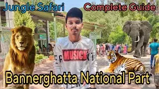 Bannerghatta National Park Bengaluru | Jungle Safari | Zoo | Bus Safari | Complete guide | vlog 🍹☀️
