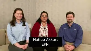 Pioneering Aging Management for Neutron Absorbers Across Global Nuclear Plants