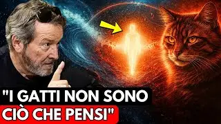La Profezia di JJ BENITEZ sui Gatti Sta Accadendo Adesso