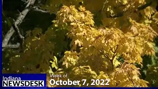 Bloomington recognized as &lsquo;best city in the Midwest&rsquo; to view fall foliage